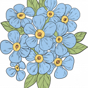 Forget Me Not Blue PNG Photos