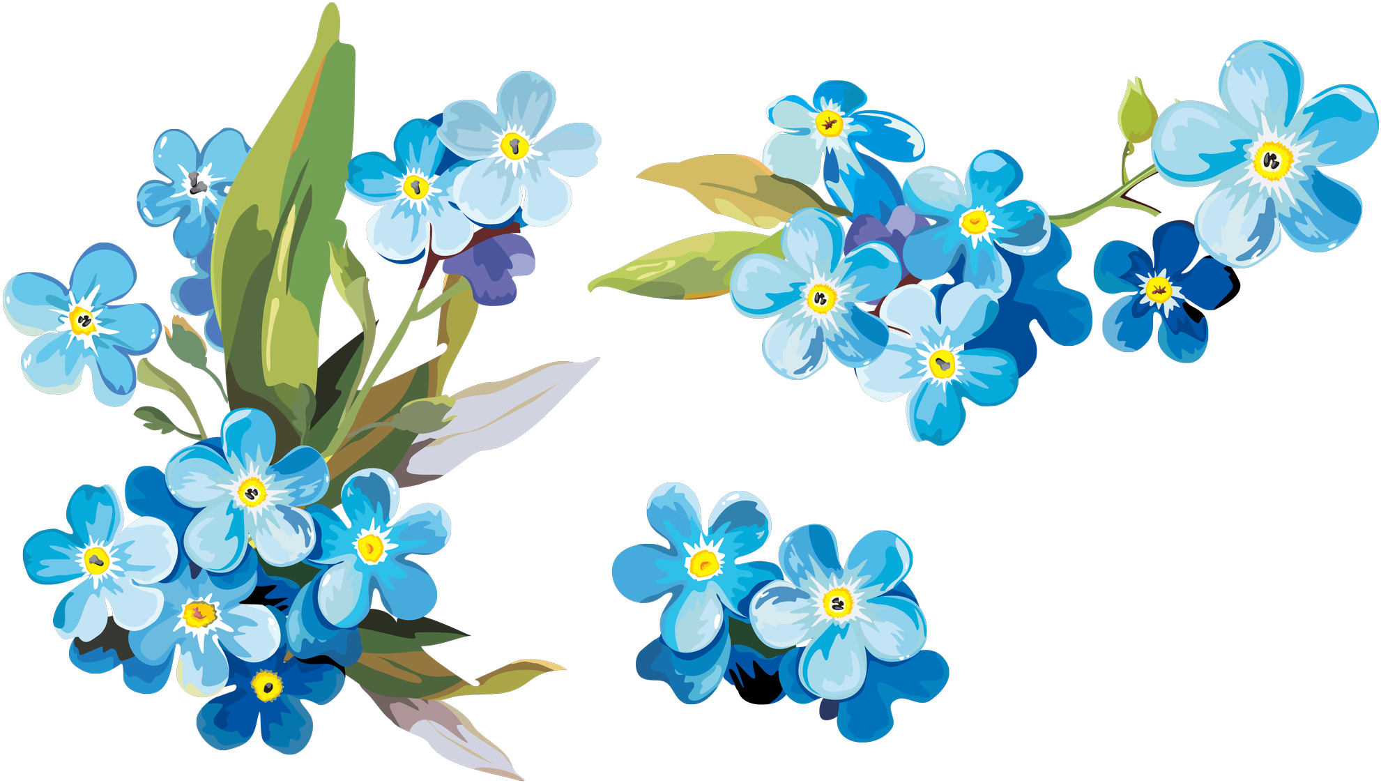Forget Me Not Blue