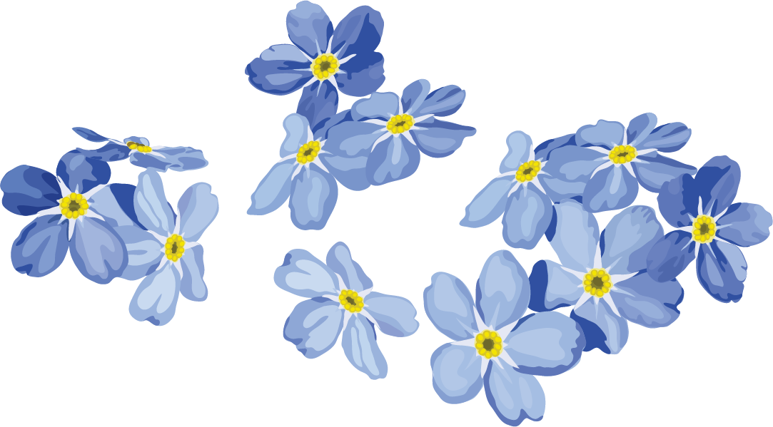 Forget Me Not PNG File