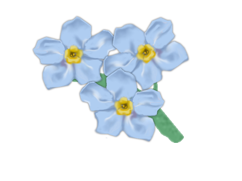 Forget Me Not PNG Photo