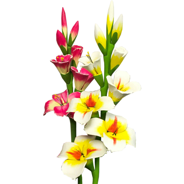 Gladiolus Flower PNG Image