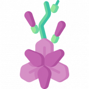Gladiolus Purple PNG