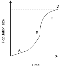 Growth Graph Transparent