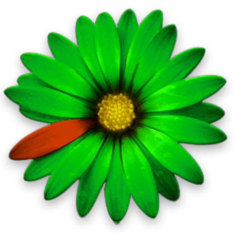 ICQ Logo PNG Clipart