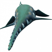 Ichthyosaur half leven