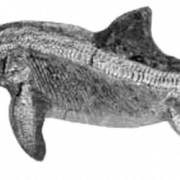 Ichthyosaurier halb Leben ohne Hintergrund