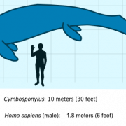 Ichthyosaur Half Life Png вырез