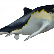 Ichthyosaur Half Life PNG Foto