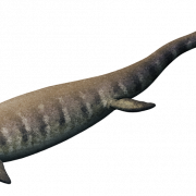 Ichthyosaur Half Life PNG -fotos