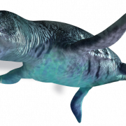 Ichthyosaur PNG CUPTOUT