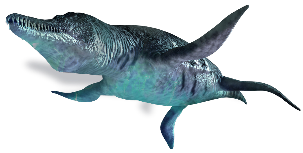 Ichthyosaur PNG Cutout