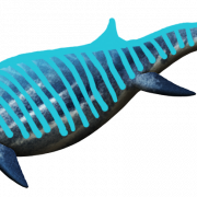 Ichthyosaur png file