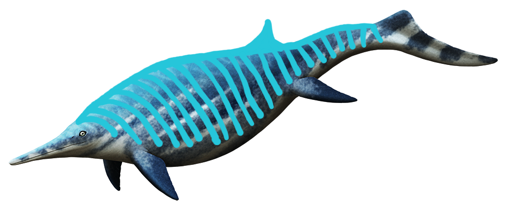 Ichthyosaur PNG File