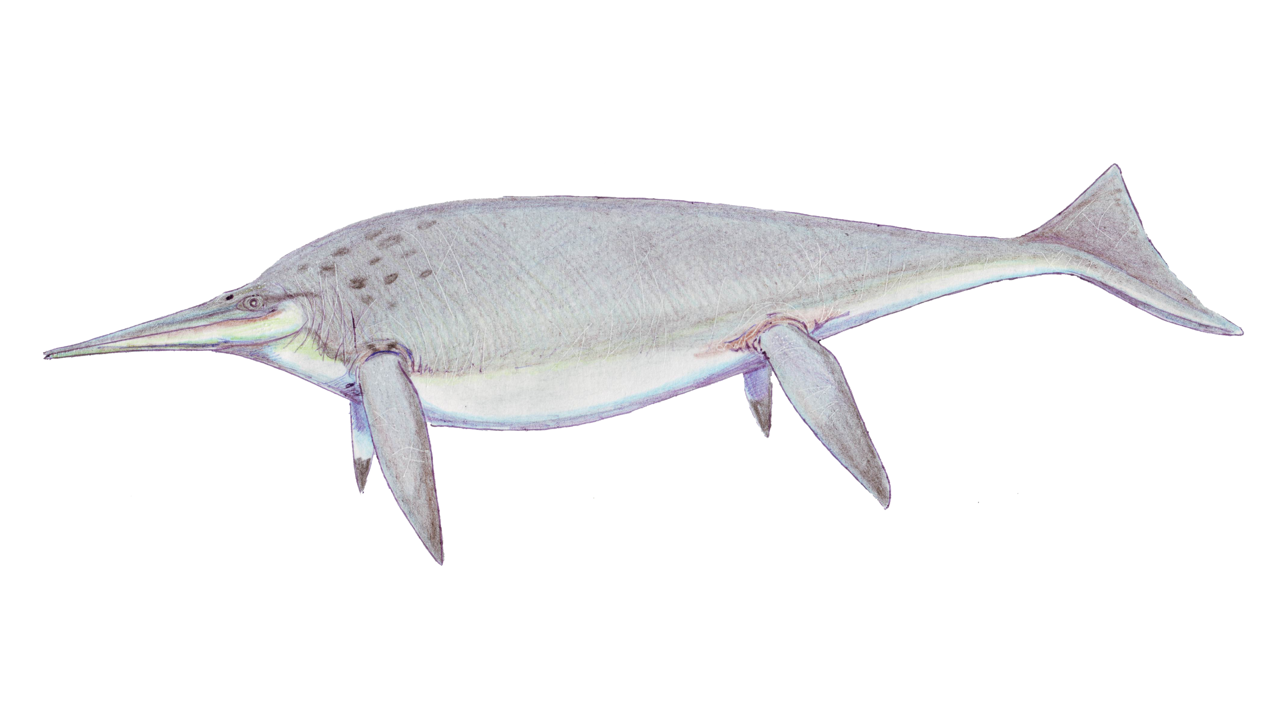 Изображение Ichthyosaur Png бесплатное изображение