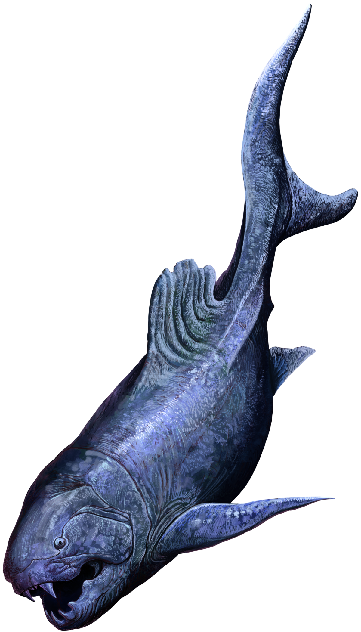 Ichthyosaur PNG Image