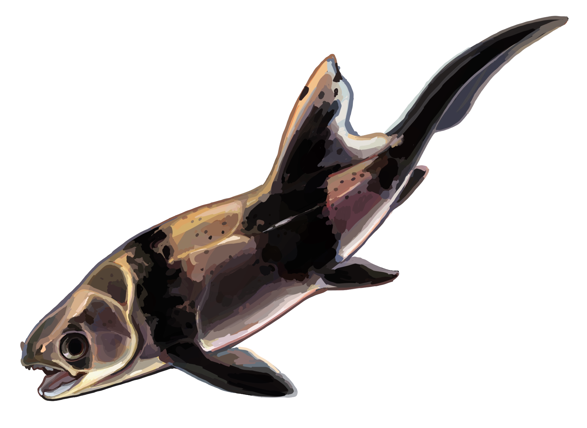 Ichthyosaur PNG Photo