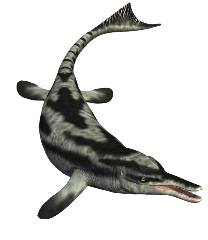 Ichthyosaur PNG