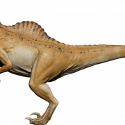 Файл динозавров юрской эволюции