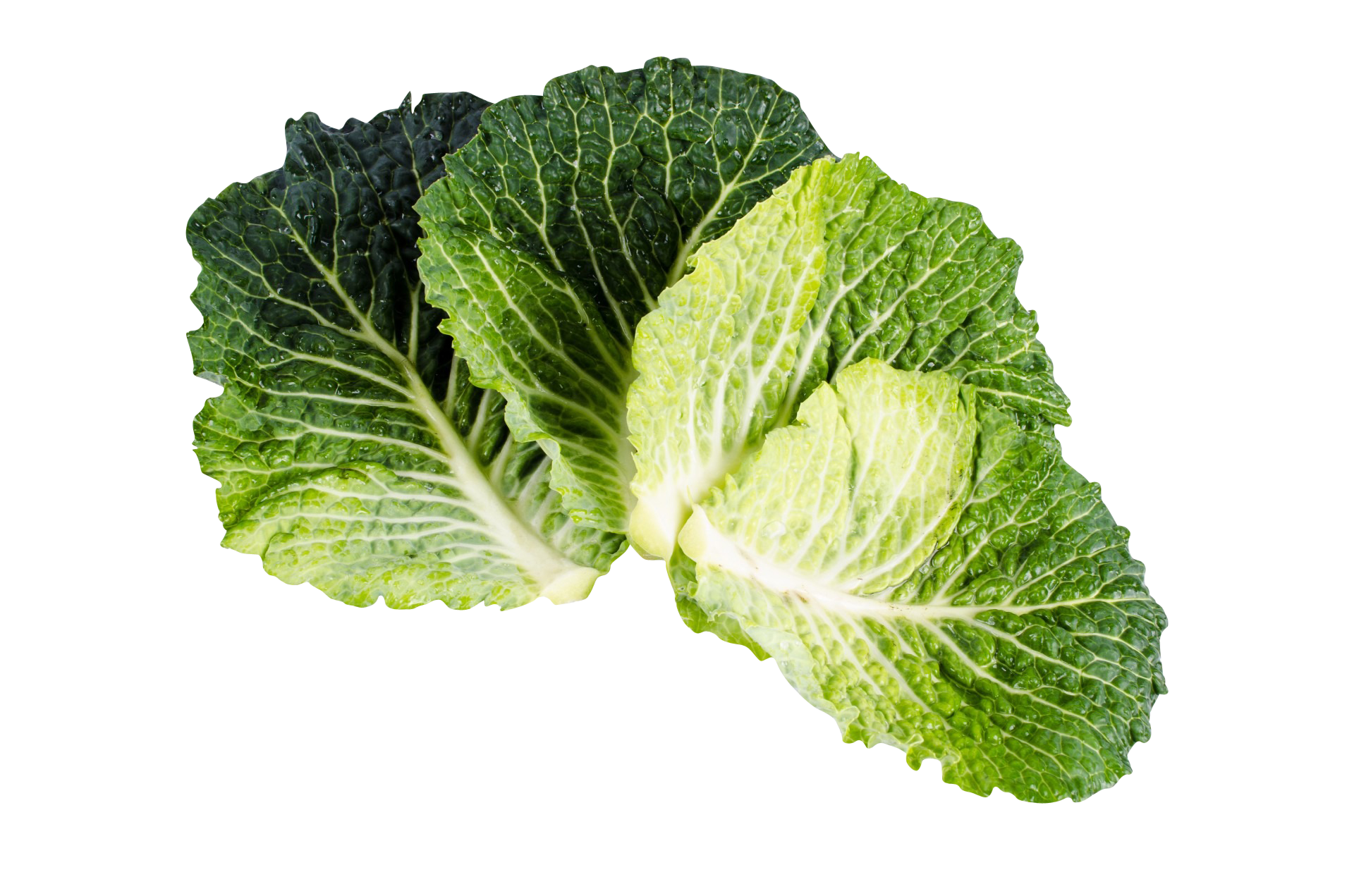 Kale Green Vegetable PNG