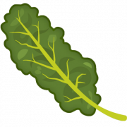 Kale Healthy Food Png Clipart