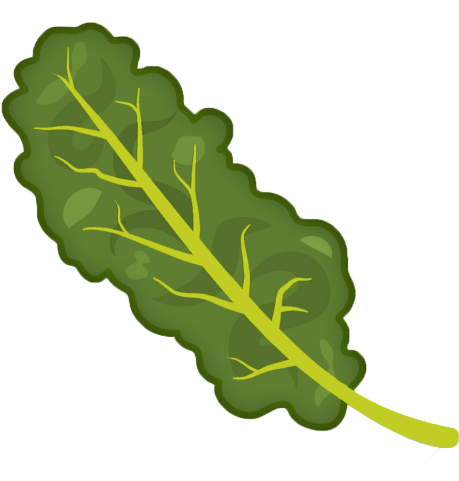 Kale Healthy Food PNG Clipart