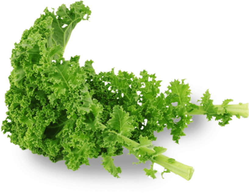 Kale Healthy Food PNG Cutout