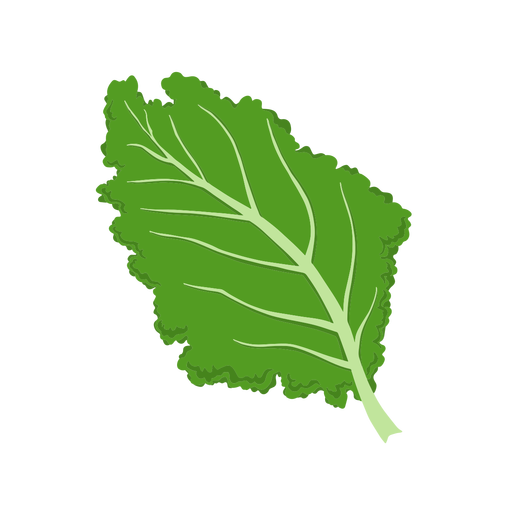 Kale Healthy Food PNG File
