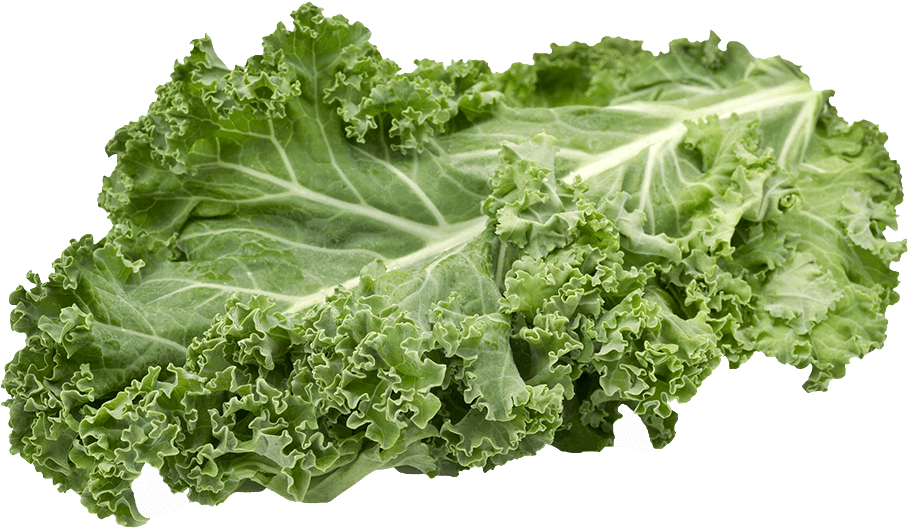Kale Healthy Food PNG Images