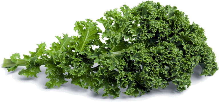 Kale Healthy Food PNG Photos