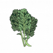 Kale Healthy Food Png Picture
