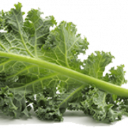 Kale sano cibo trasparente