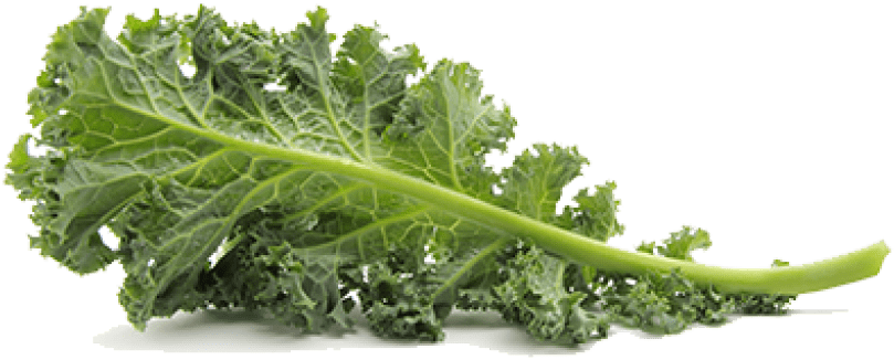 Kale sano cibo trasparente