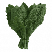 Kale PNG Immagine