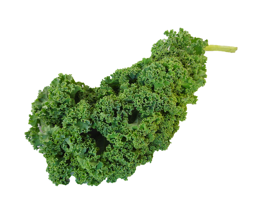 Kale PNG Pic