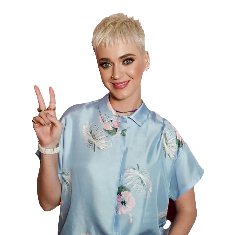 Katy Perry Dress PNG HD Image