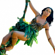 Katy Perry No Background