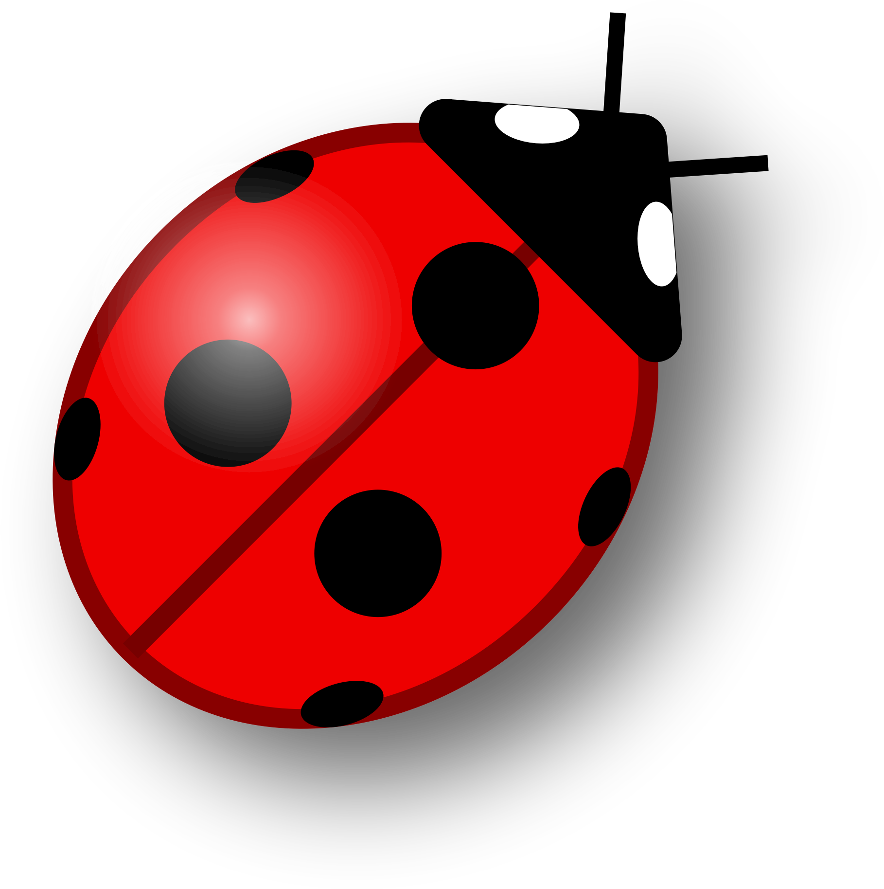 Ladybird Insect PNG Cutout