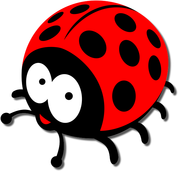 Ladybird Insect PNG Photo