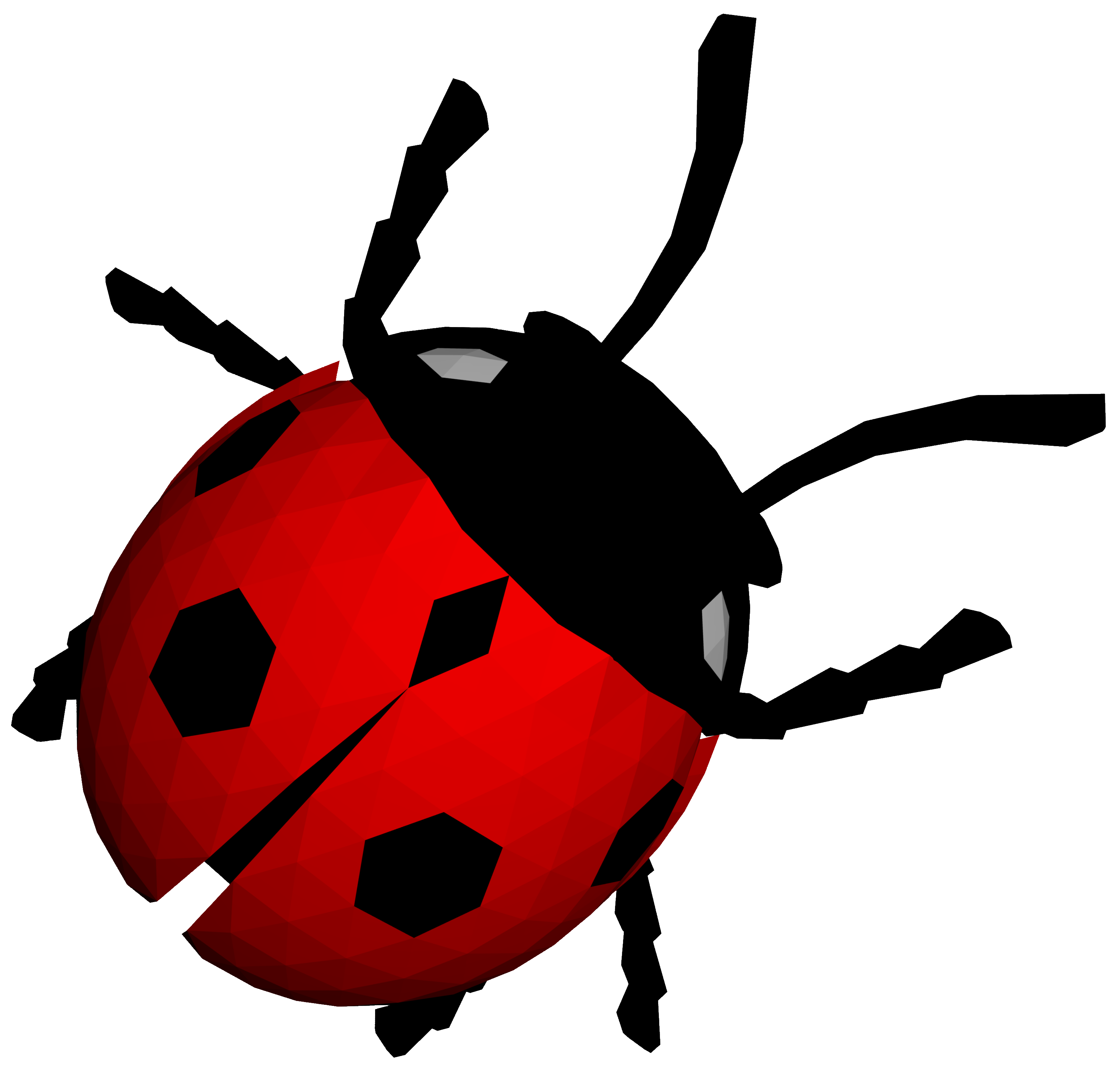 Ladybird PNG Image HD