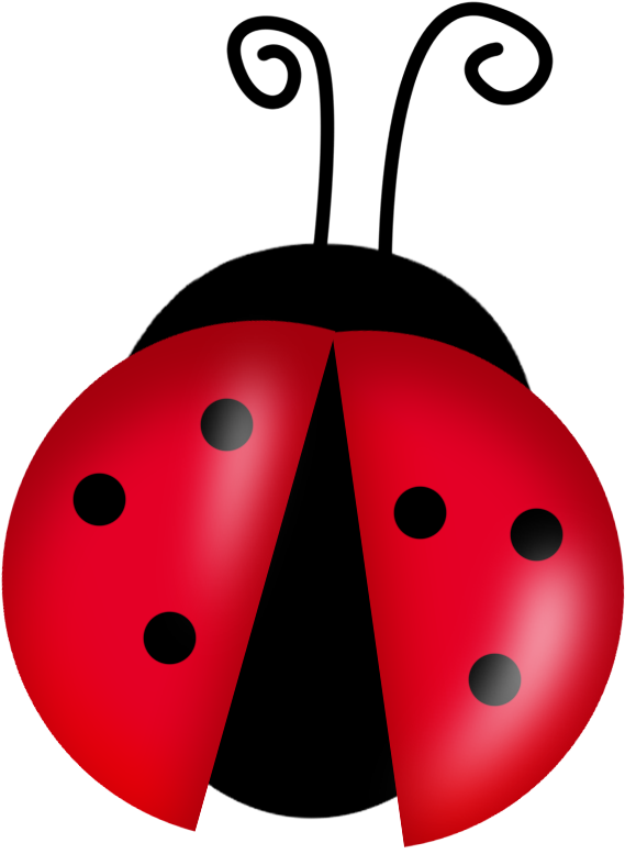 Ladybird PNG Images