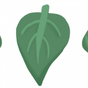 Leaves Divider PNG Cutout