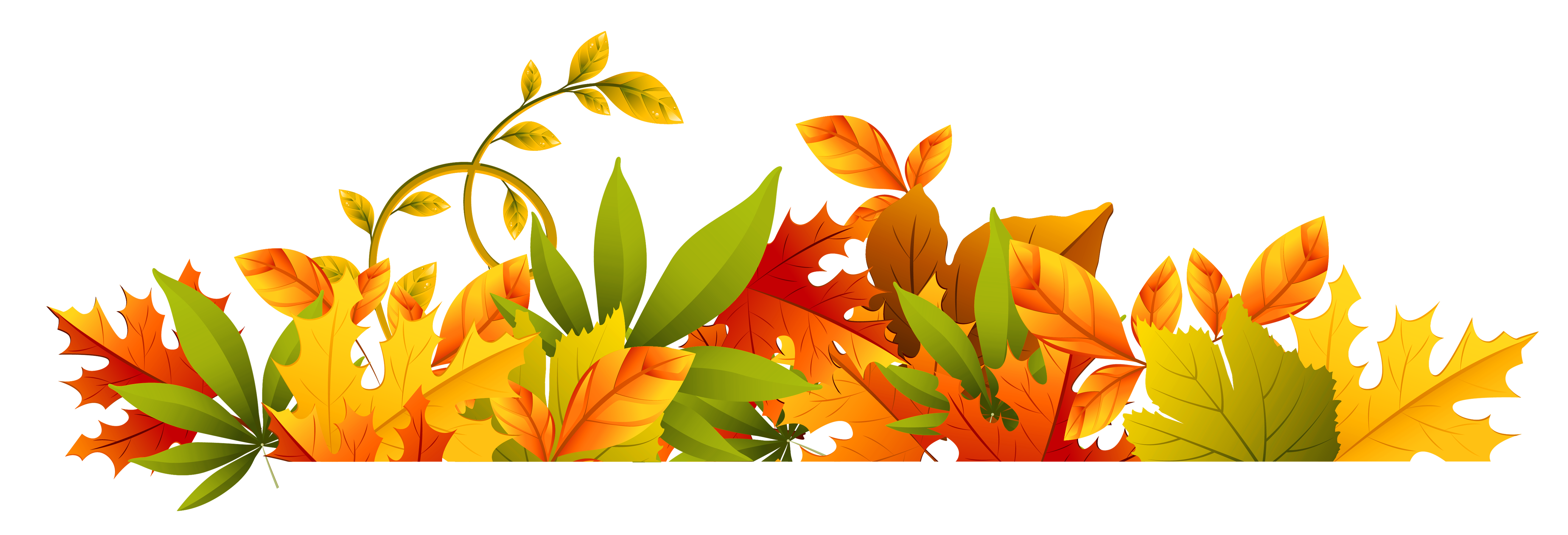 Leaves Divider PNG Pic