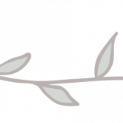 Leaves Divider PNG Picture
