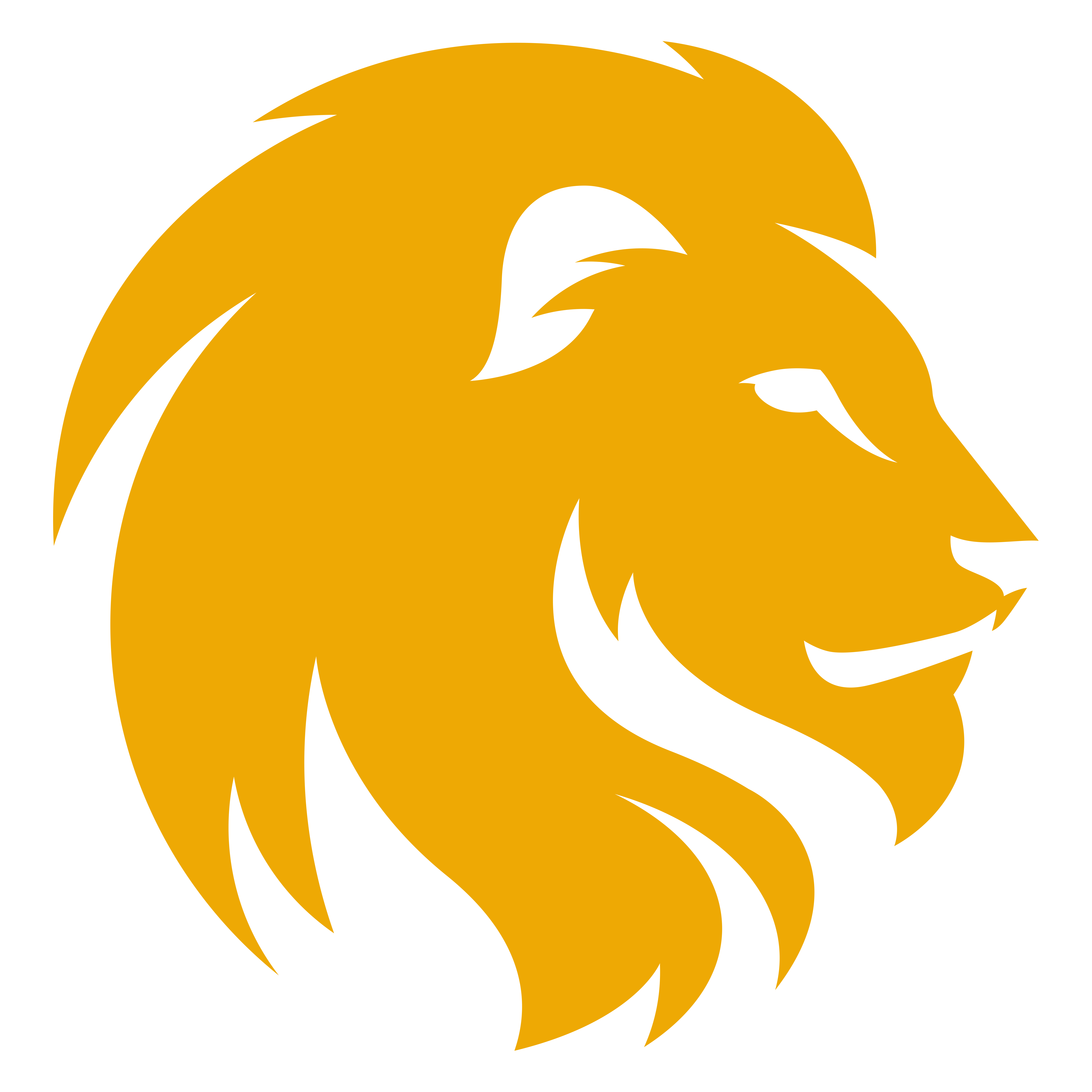 Lions Logo PNG File