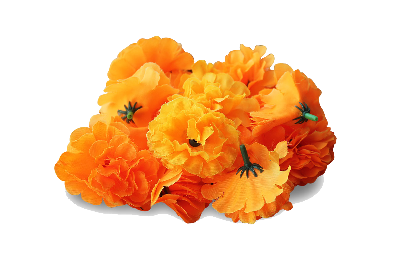 Marigold Flower PNG Pic