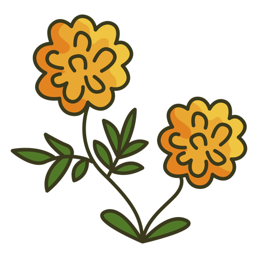 Marigold PNG Picture