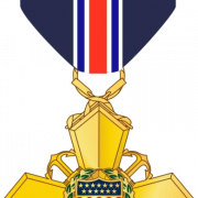 Medal Ribbon PNG Pic