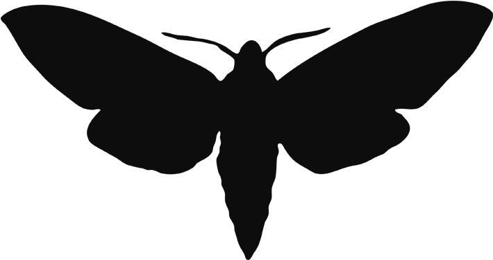 Moth Butterfly PNG Image