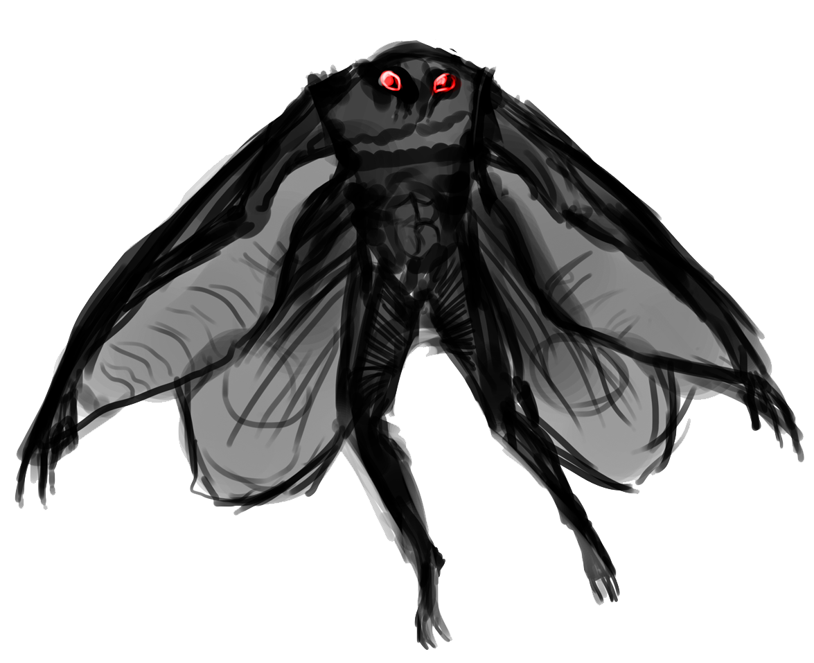 Moth Insect PNG Cutout