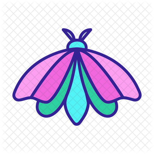 Moth PNG Images